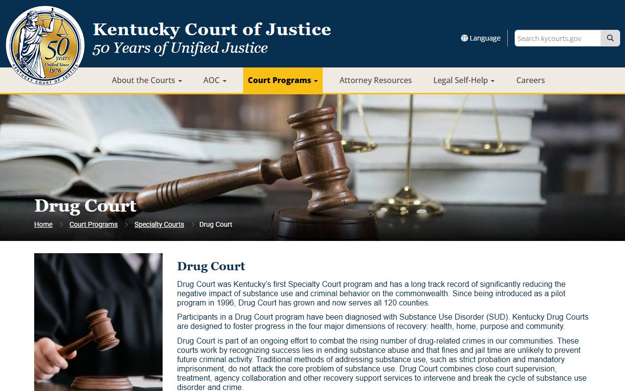 Nelson County court dockets Kentucky Drug Court overview